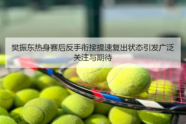 樊振东热身赛后反手衔接提速复出状态引发广泛关注与期待
