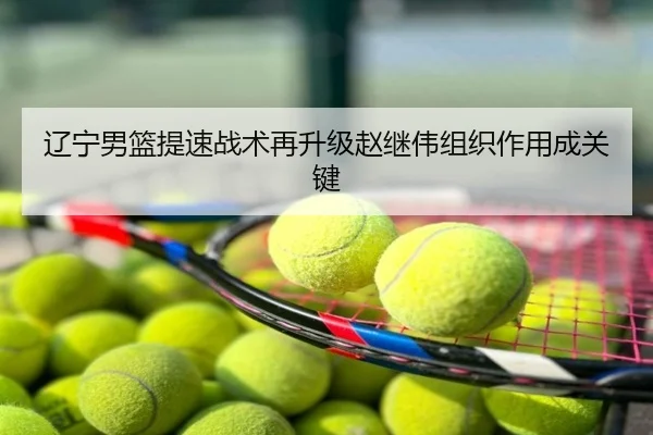 辽宁男篮提速战术再升级赵继伟组织作用成关键